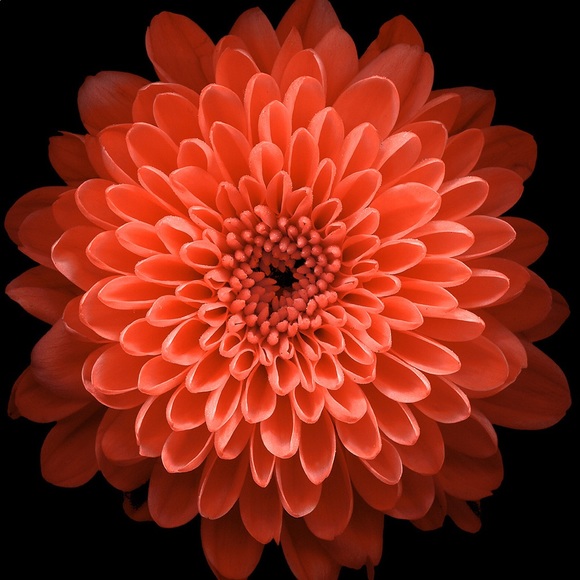 Meet your Posher, Carina - Picture 9 of 12